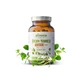 Bacopa Monnieri - Brahmi - 120 capsules Biowen