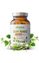 Bacopa Monnieri - Brahmi - 120 Kapseln Biowen