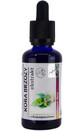 Berkenbast microdeeltje extract 50ml Organis