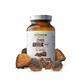 Chaga - 400mg - 90 c&#225;psulas BIOWEN