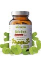 Gotu kola - 120 g&#233;lules Biowen