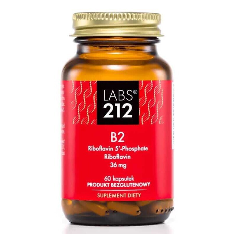Labs212 Vitamine B2 R-5′-P + Riboflavine (vitamine B2) 60 capsules