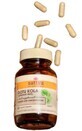 Gotu Kola 60 Kapseln Sattva Ayurveda