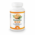 Boswellia MSM 90 tablets Dr. Jacob's