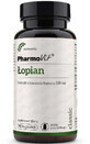 Burdock 90 capsules Pharmovit