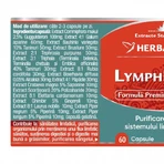 Désintoxication de la lymphe, 60 gélules, Herbagetica
