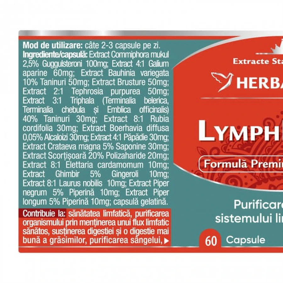 Désintoxication de la lymphe, 60 gélules, Herbagetica