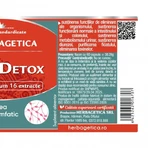 Désintoxication de la lymphe, 60 gélules, Herbagetica