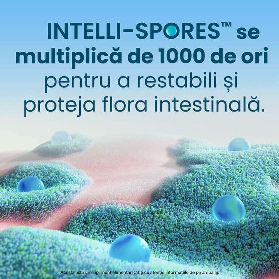 Enterogermina Forte 10 viales x 5 ml suspensión oral, Sanofi