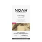 Natural Hair Color, Super Platinum Blonde 11.00, 140 ml, Noah
