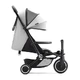 SmarTrike