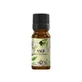 Clary Sage essential oil, 10 ml, Ellemental