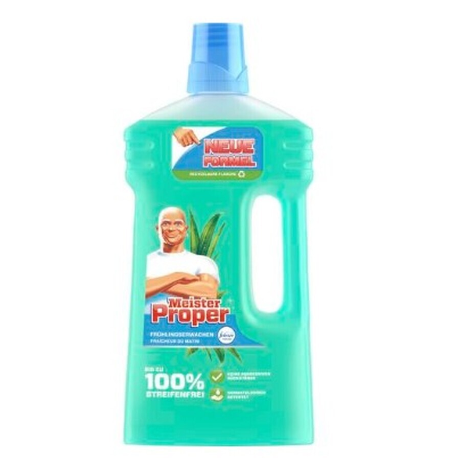 Master Proper, Spring Awakening, Cleaner, 1l.