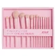 Jessup Makeup Lover Crystal Pink Collection IV Set de brochas de maquillaje T495, 14 piezas