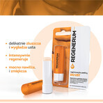 Kit Regenerum, scrub labbra rigenerante, levigante e nutriente, 2 x 5 g + biglietto cinema in omaggio