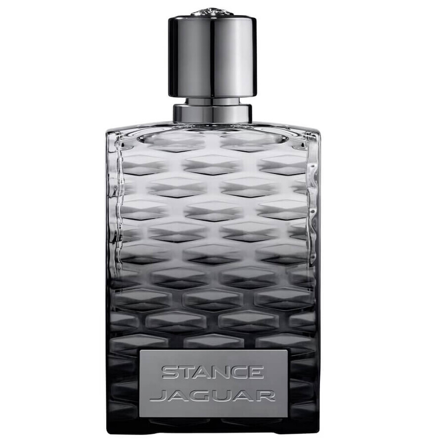 Jaguar Stance Eau de Toilette, 100 ml