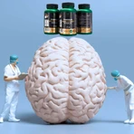 Lanco Nutritions Premium-Pilz-Komplex, 60 Kapseln
