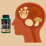 Lanco Nutritions Premium-Pilz-Komplex, 60 Kapseln