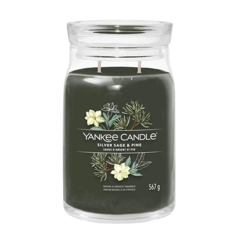 Yankee Candle Silber Salbei amp; Kiefer Große Duftkerze, 567 g