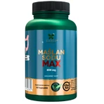 Lanco Nutritions Natriumbutyrat Max, 60 Kapseln