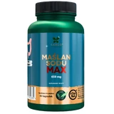 Lanco Nutritions Sodium Butyrate Max, 60 capsules