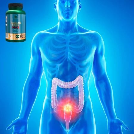 Lanco Nutritions Natriumbutyrat Max, 60 Kapseln