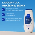 Nivea Derma Control Restore, shower gel, 250 ml