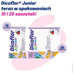 Dicoflor Junior, für Kinder ab 3 Jahren und Erwachsene, Waldfruchtgeschmack, 20 Beutel