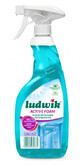 Ludwik