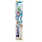 Signal Cepillo de Dientes Antiplaca Mediano, 1 pieza