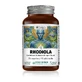 Rhodiola, 30 gélules végétales, Hyllan Pharma