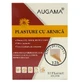 Auguma arnica patches, 10x15 cm, 10 pieces, Henan Kangdi Medical