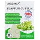 Parches para el cuello Augama con ajenjo, 6 piezas, Henan Kangdi Medical