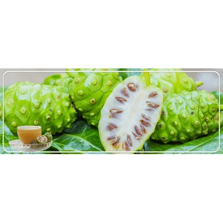 Zumo de Noni 100 % natural y ecológico, 1 litro