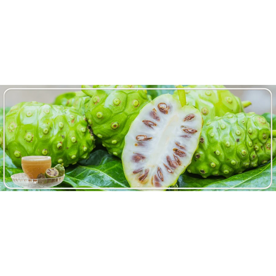 Zumo de Noni 100 % natural y ecológico, 1 litro