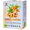 100% Natuurlijk en Biologisch Gember- en Kurkuma Sap 3L