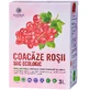 Roter Johannisbeersaft ECO 3L (RO-ECO-029)
