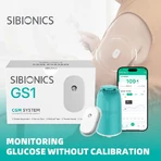 Sibionics GS1 continuous glucose monitoring system