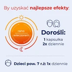 Debutir Forte, 2 x 60 capsules, Polpharma