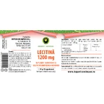 Cápsulas de lecitina Lecitina 1200 mg, 50 cápsulas blandas