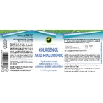 Capsules de Collagène avec Acide Hyaluronique, 60 capsules