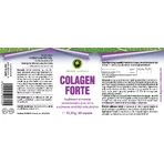 Collagen Forte Capsules, 60 capsules
