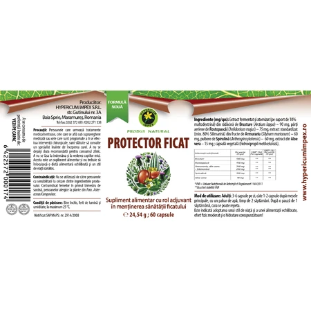 Liver Protector Capsules, 60 capsules