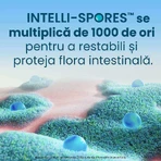 Enterogermina Forte, 3 x 10 vials x 5 ml oral suspension, Sanofi