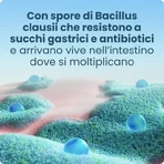 Enterogermina Forte, 3 x 10 vials x 5 ml oral suspension, Sanofi
