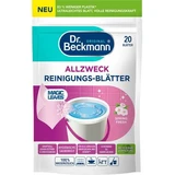 Toallitas con detergente para limpieza universal, Spring Fresh, 20 unidades, Dr. Beckmann