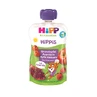 Fruit puree with pomegranate, acerola, apple and raspberry Hippis, 100 g, Hipp