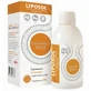 Liposol Curcumina 3 Plus, syrup, 250 ml