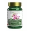 ActivLab Pharma Witch Hazel, 30 tablets