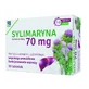 Silymarin, 30 tablets